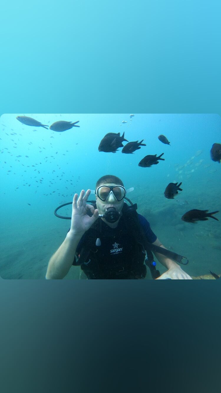  45941360  , 39 ,    