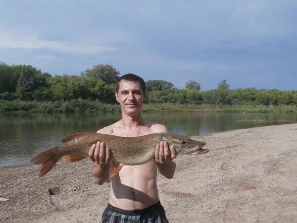 ���� 10384880 ������� ������, 43 ����, ���� ���������� � ���������