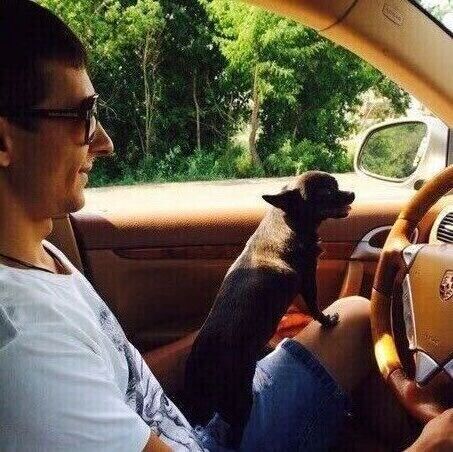 ���������� ��������, ���� ������� �����, 38 ���, ������������ ��� ������, ����� � ���������, c�������� ���������