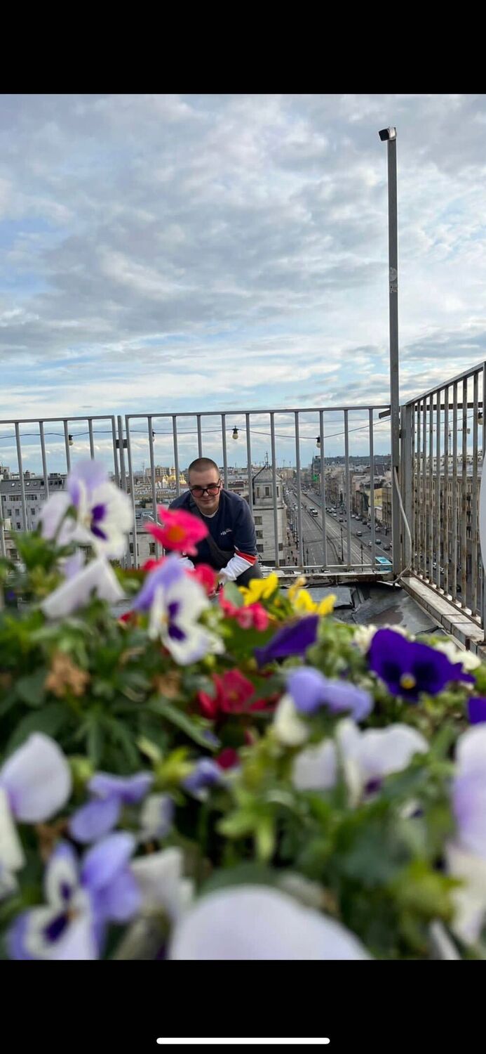 ���������� �����������, ���� ����� �����, 22 ����, ������������ ��� ������, ����� � ���������, c�������� ���������, ���������