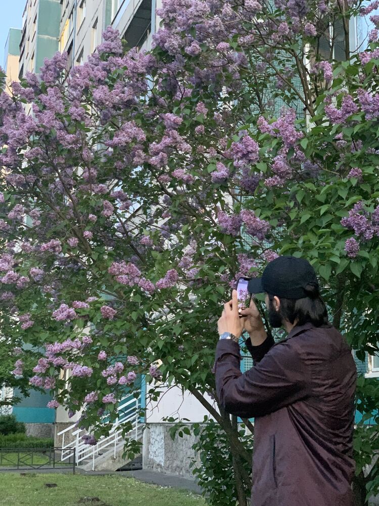 ���� 26903460 ������� ����, 30 ���, ���� ���������� � �����-����������