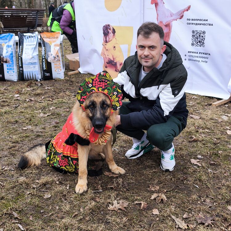 ���������� ����������, ���� ������� ����, 36 ���, ������������ ��� ����� � ���������, c�������� ���������