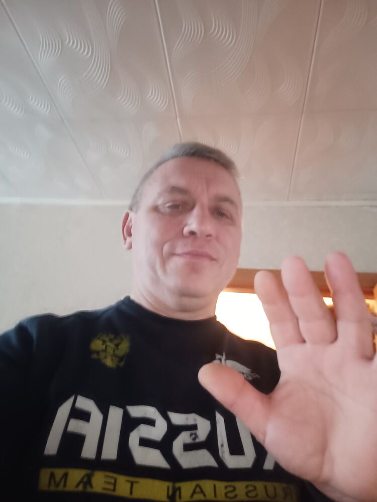  31333910  , 55 ,    