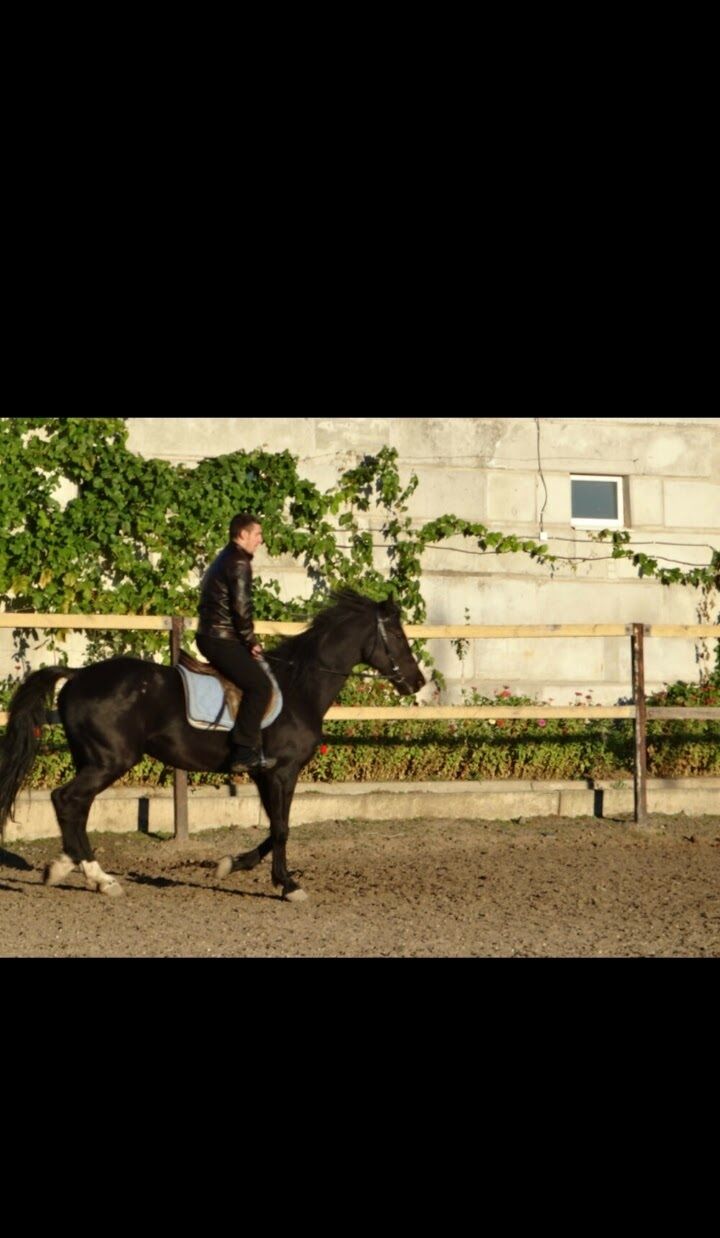 ���������� ������ ���, ���� ������� ���������, 49 ���, ������������ ��� ����� � ���������, c�������� ���������