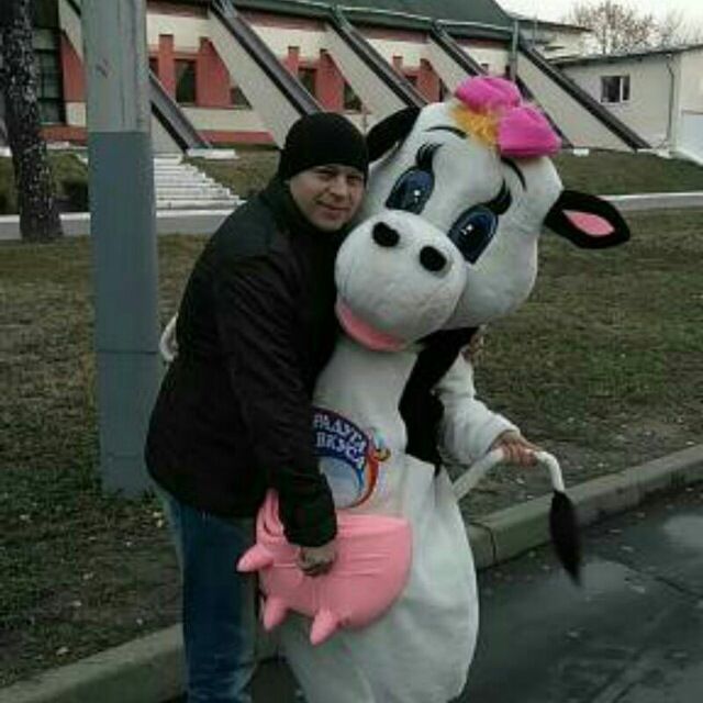  23227030  , 46 ,    
