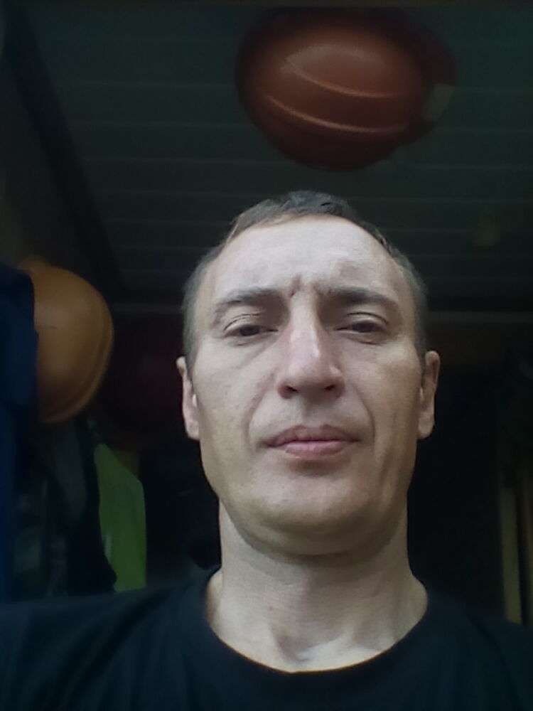  17133550  , 44 ,    