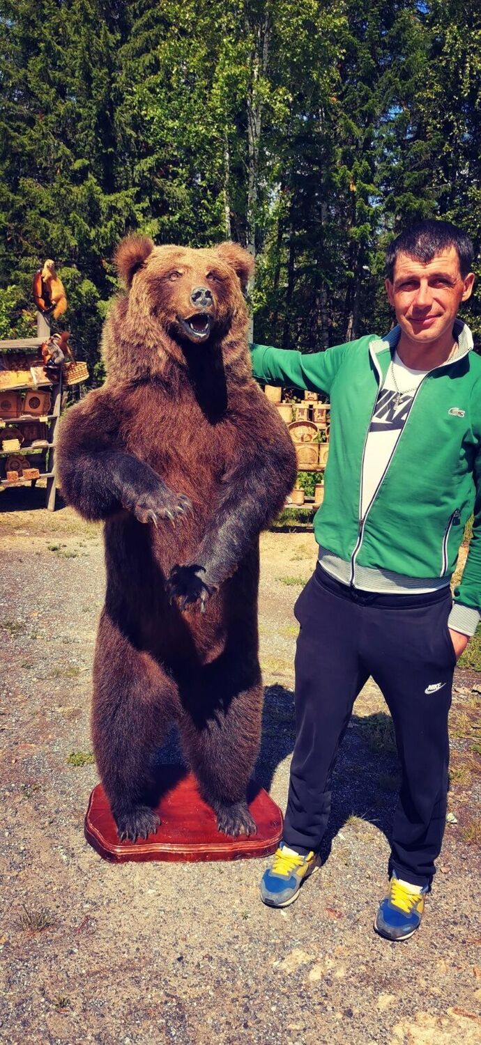 ���� 38711870 ������� �������, 40 ���, ���� ���������� � �����������