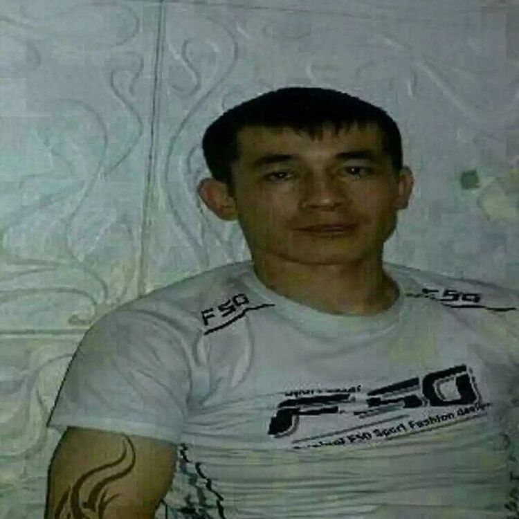  42262220  , 36 ,    