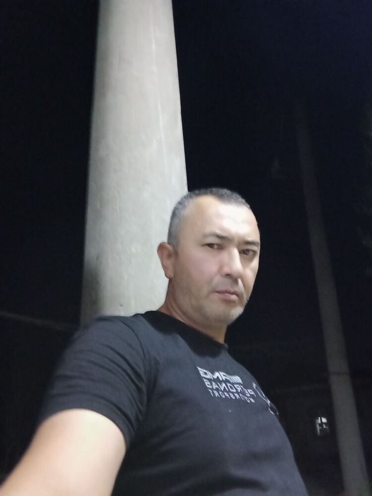  28565010  , 51 ,    
