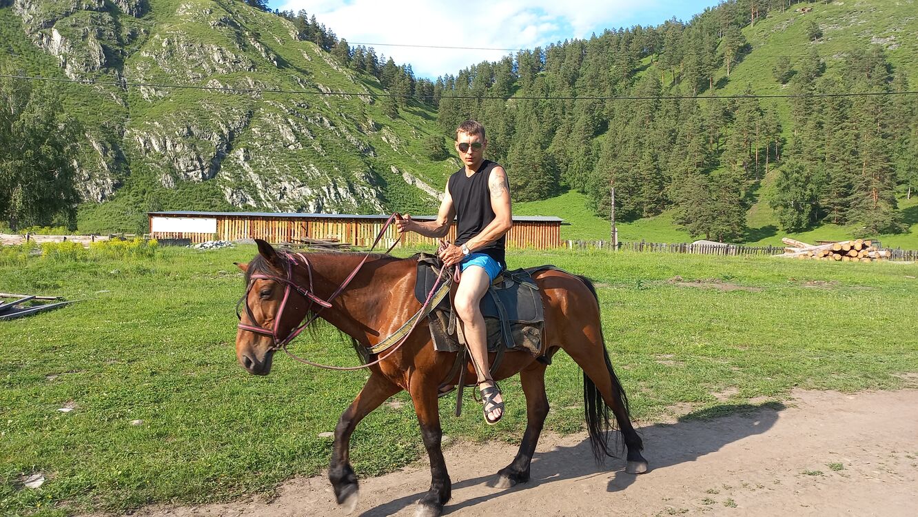 ���� 55485040 ������� ����, 37 ���, ���� ���������� � ��������