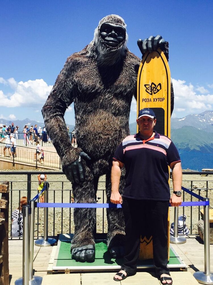 ���� 8154750 ������� �������, 42 ����, ���� ���������� � ����������