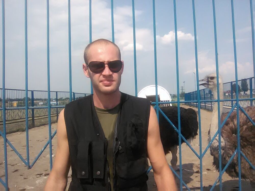 ���� 9988460 ������� ������, 38 ���, ���� ���������� � ���������������