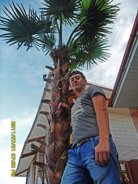 ���������� ������, ���� ������� �������, 37 ���, ������������ ��� ������