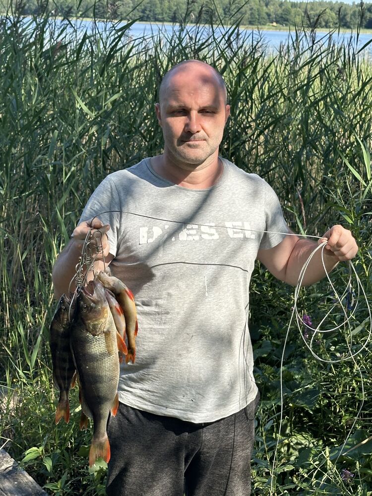 ���������� ������, ���� ������� �����, 47 ���, ������������ ��� ������, ����� � ���������