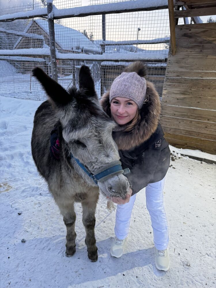 ���� 55514240 ������� �������, 25 ���, ���� ���������� � �����-����������