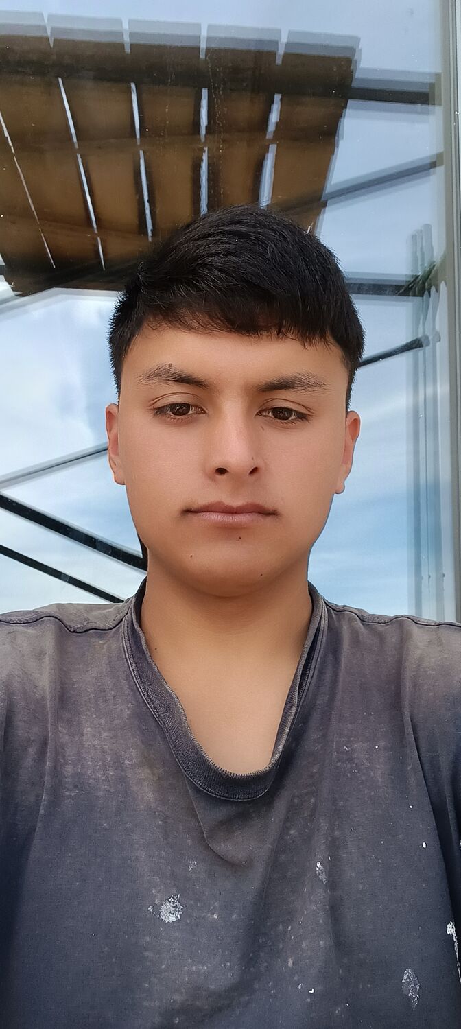 ���� 29131920 ����� Feruz, 24 ����, ���� ���������� � ������