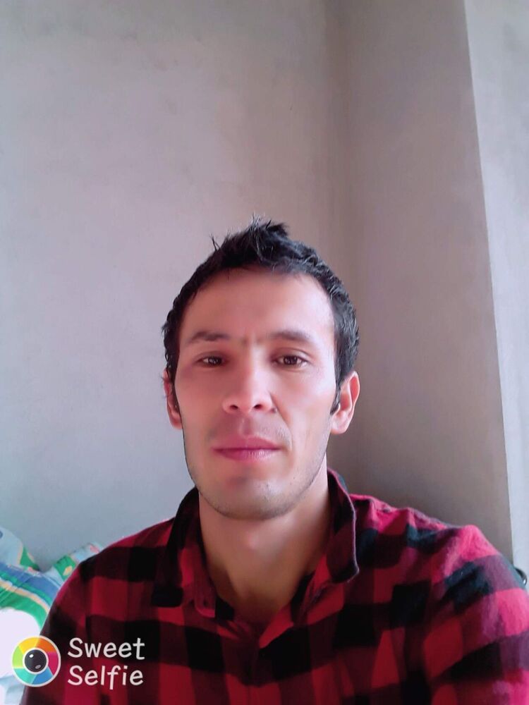 25327290  , 41 ,    