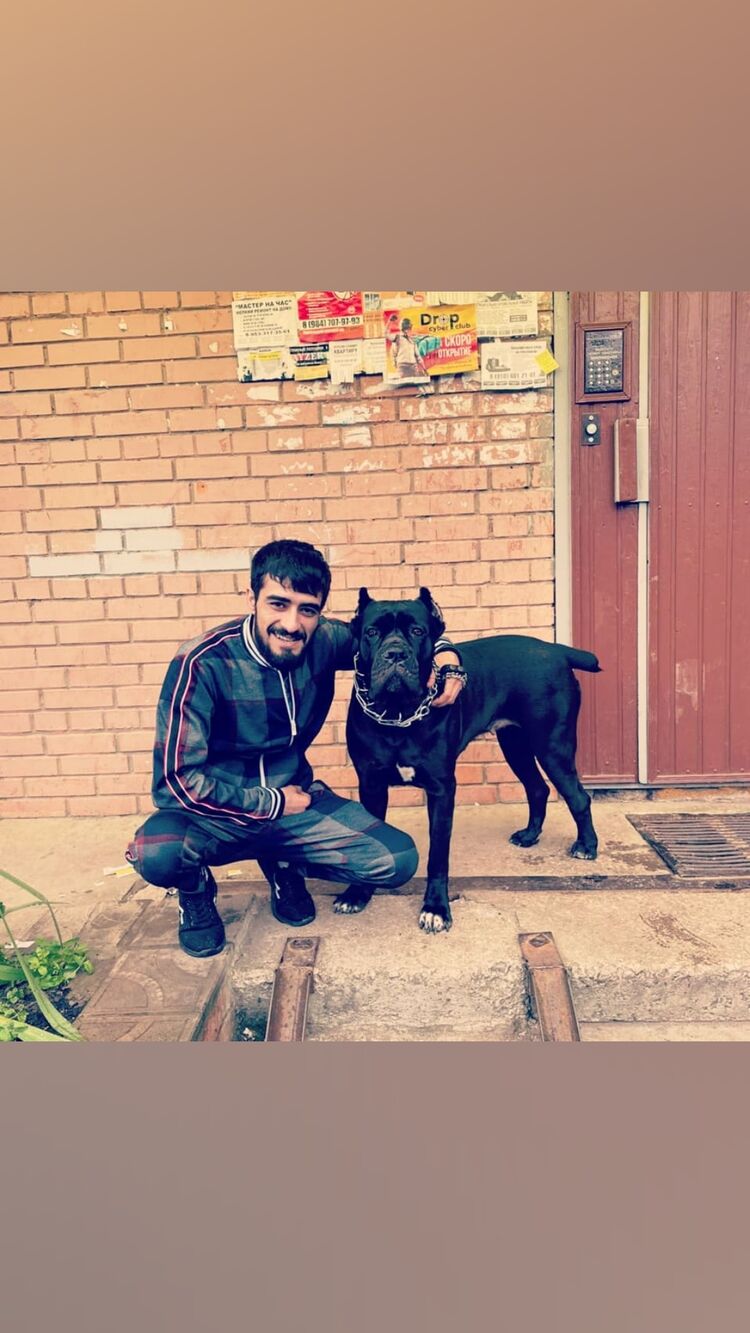 ���� 23795800 ������� �����, 34 ����, ���� ���������� � ��������