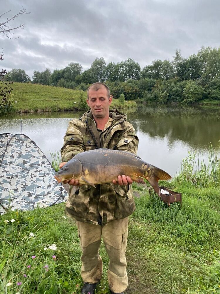  53784070  Diman, 40 ,    