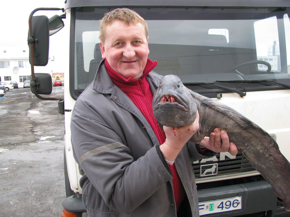  25834270  Sergei, 60 ,    
