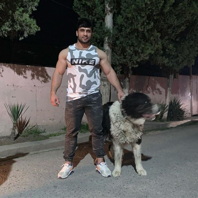 ���������� ������, ���� ������� ����, 41 ���, ������������ ��� ������, ����� � ���������, c�������� ���������