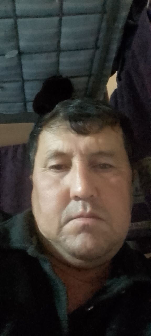  34273590  , 51 ,    