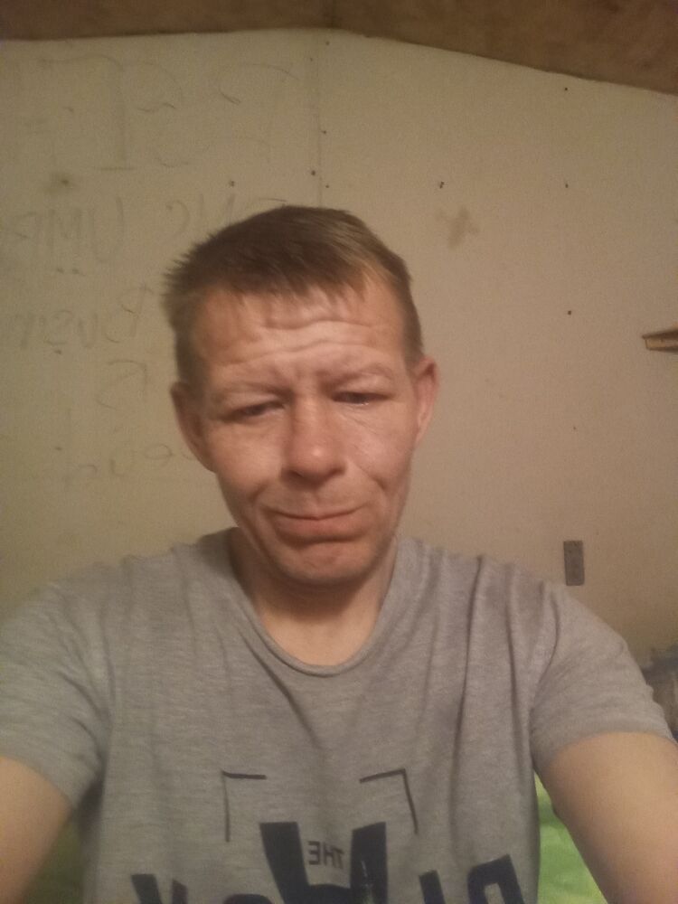  50381430  , 44 ,    