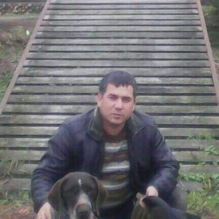  ,   , 49 ,  