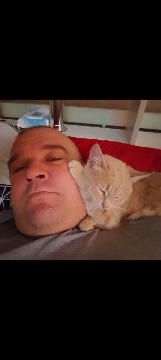  52411640  , 47 ,    -