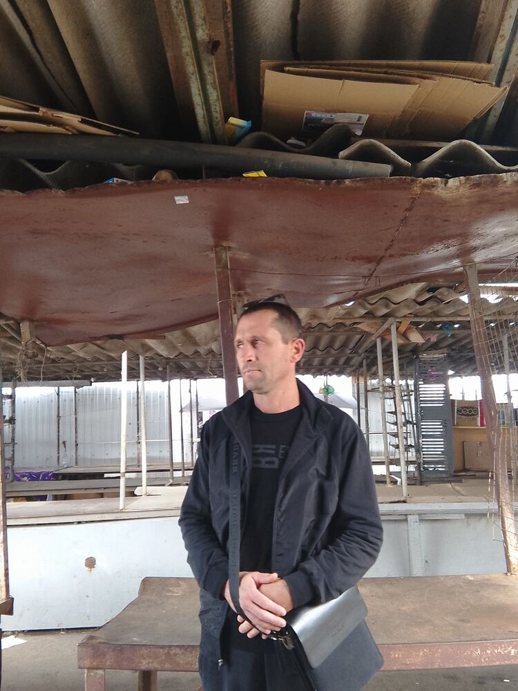  54249540  , 41 ,    -