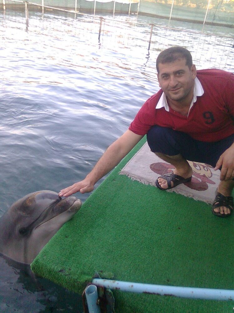  29444840  , 49 ,    Canakkale