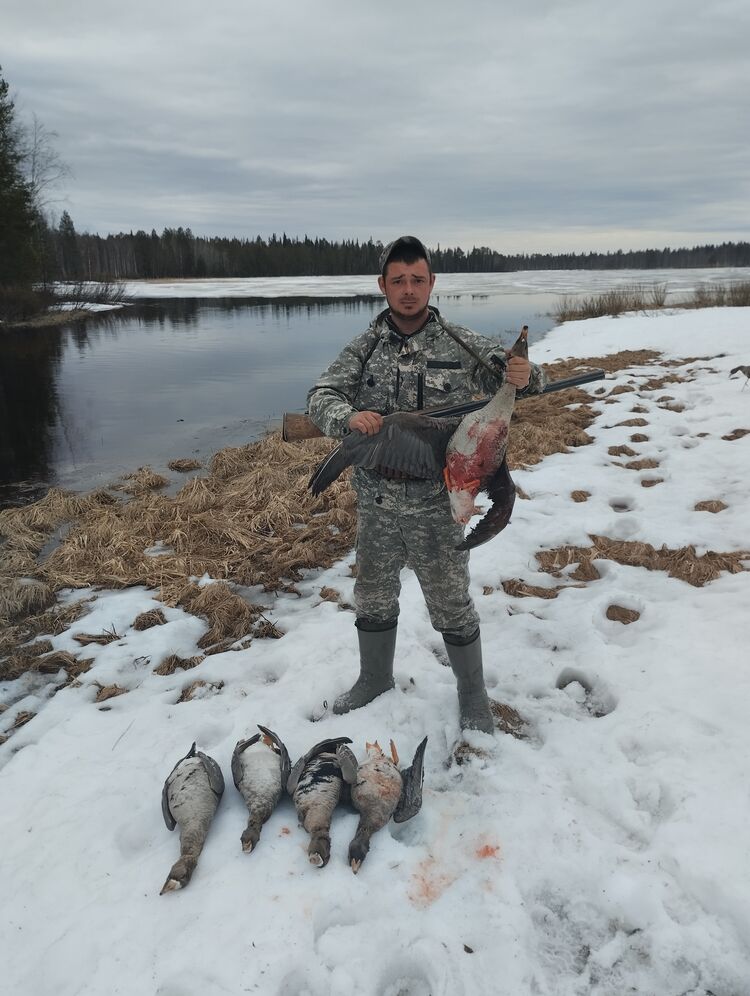 ���� 43617920 ������� ������, 33 ����, ���� ���������� � ������