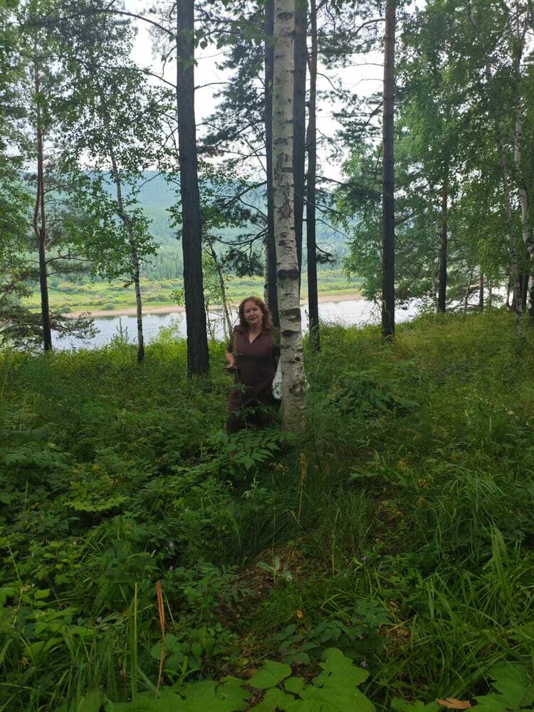  54244450  , 59 ,    -