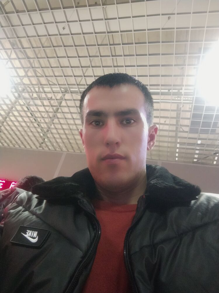  50713980  , 28 ,    