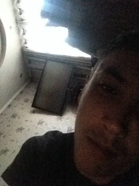 ���� 10454150 ������� Asyl, 32 ����, ���� ���������� � �������