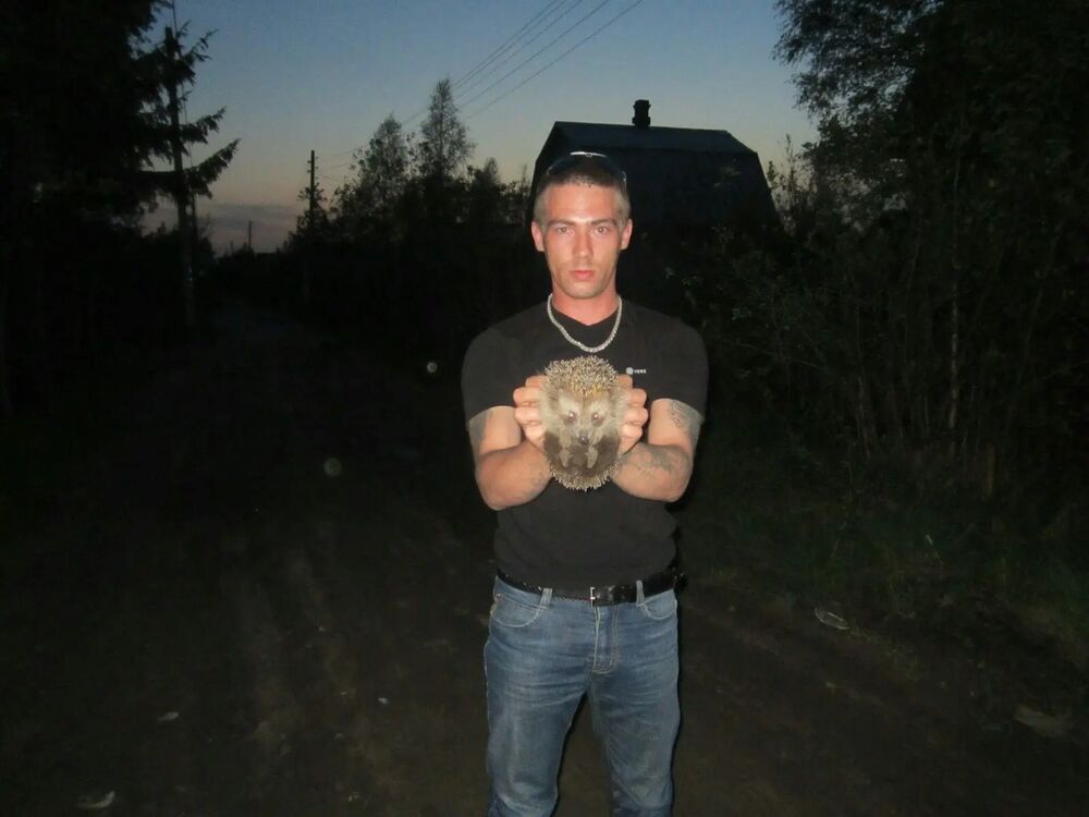  31964610  , 37 ,    -