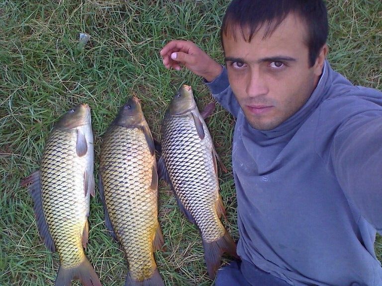 ���������� ���������, ���� ������� ��������, 37 ���, ������������ ��� c�������� ���������