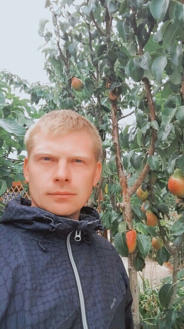  20574750  , 37 ,    -