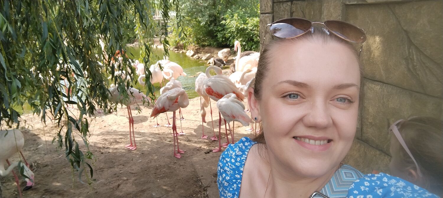 ���� 55398790 ������� ���������, 33 ����, ���� ���������� � ������