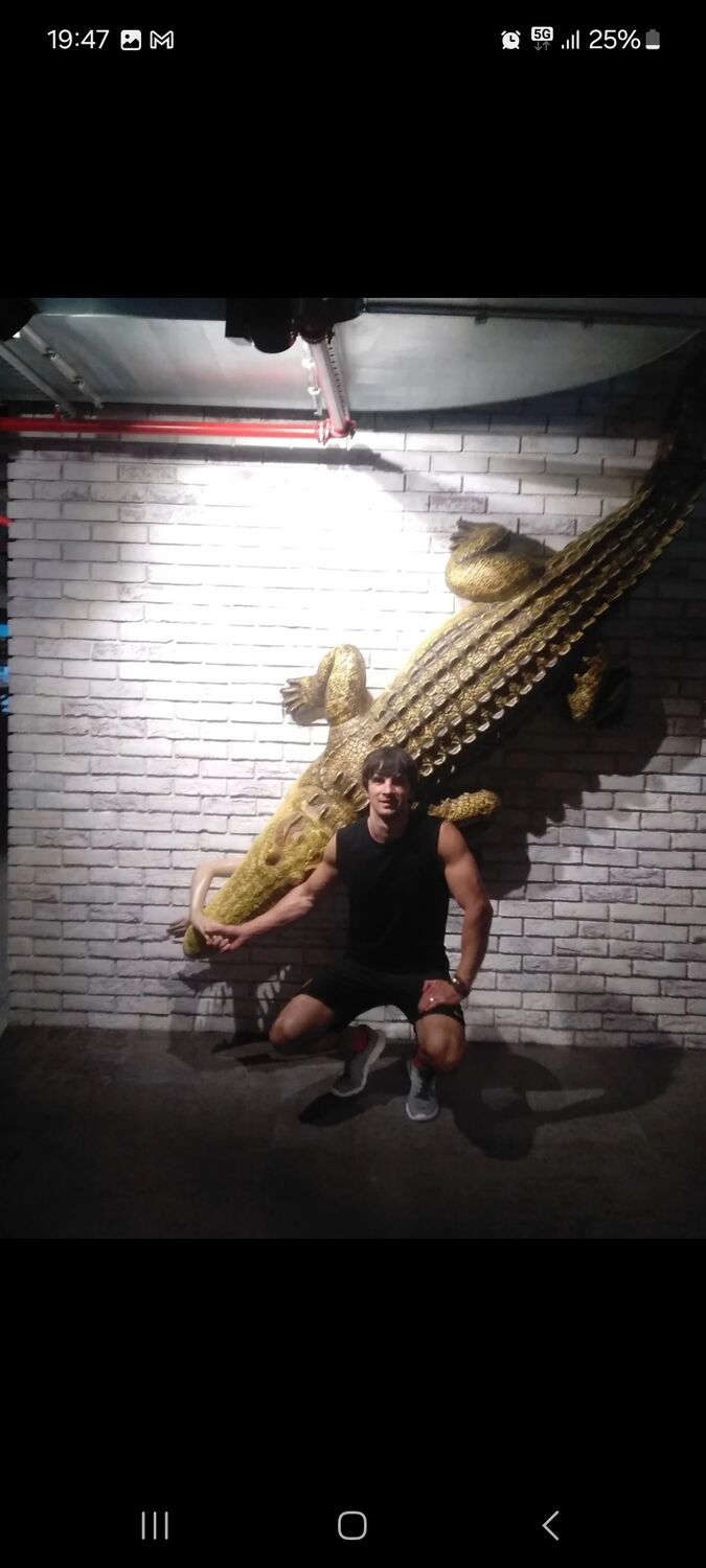  Praha,   Nikolai, 33 ,   ,   , c , 