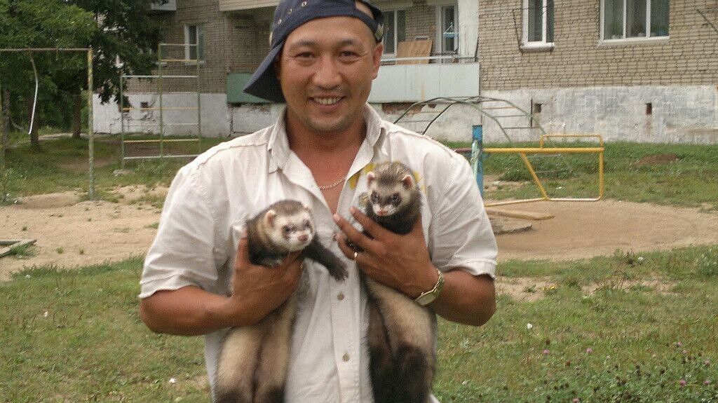 ���� 54874740 ������� ����, 41 ���, ���� ���������� � ����������