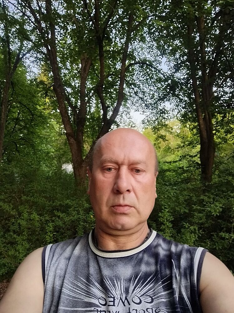 ���� 56165040 ������� �������, 52 ����, ���� ���������� � ���������������