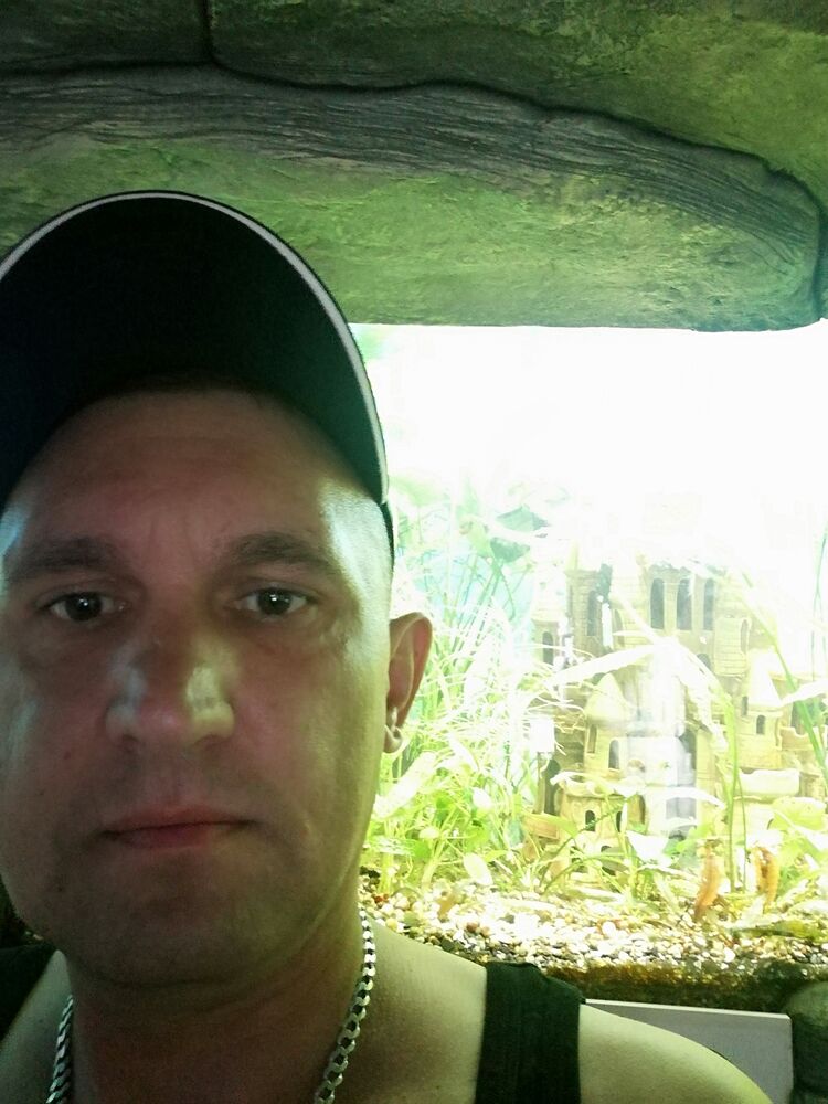 ���� 55559050 ������� ��������, 42 ����, ���� ���������� � ���������