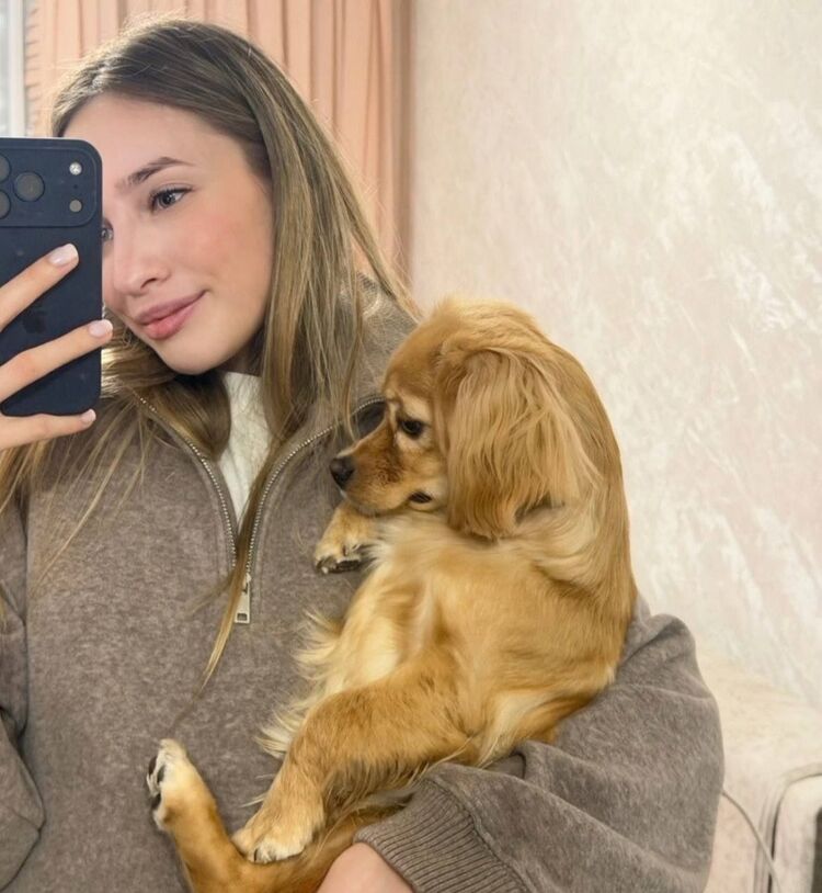 ���������� ���������, ���� ������� �����, 24 ����, ������������ ��� ������, ����� � ���������, c�������� ���������