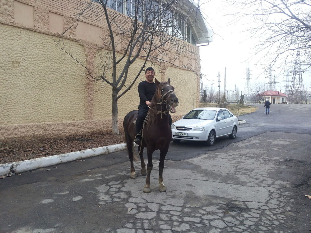  4325810  Suhrobbek, 48 ,    