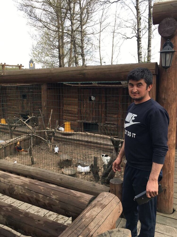 ���� 17978890 ������� �����, 33 ����, ���� ���������� � ������