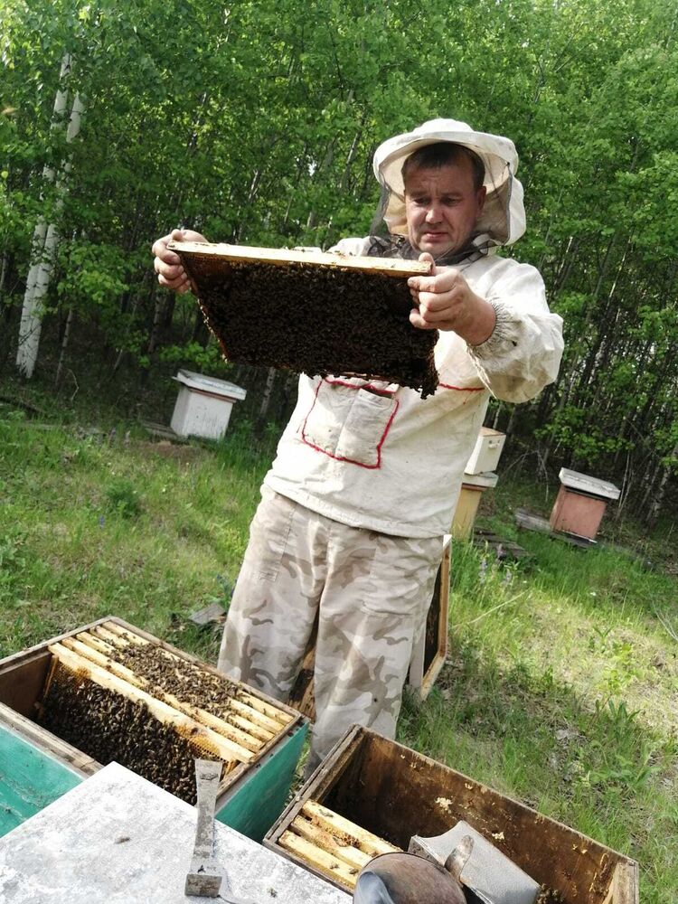 ���������� ����������, ���� ������� �����, 42 ����, ������������ ��� ������, ����� � ���������, c�������� ���������