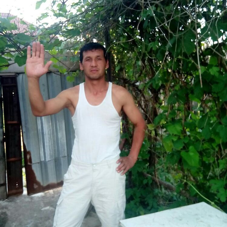  24289280  , 42 ,    