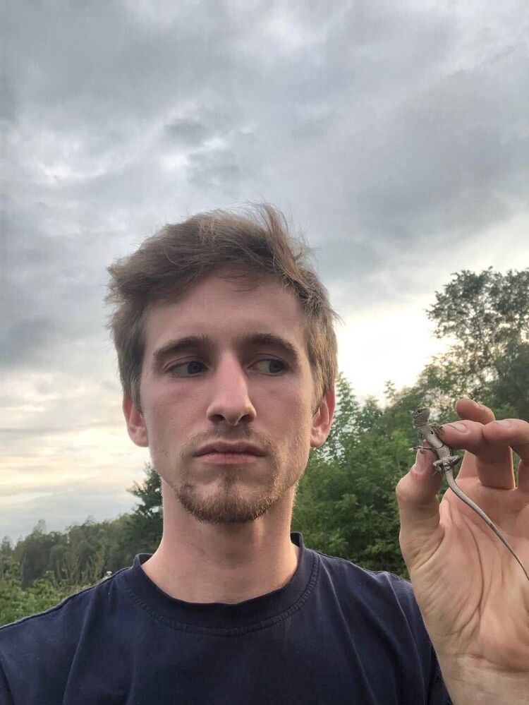 ���� 54943380 ����� ����, 25 ���, ���� ���������� � ������