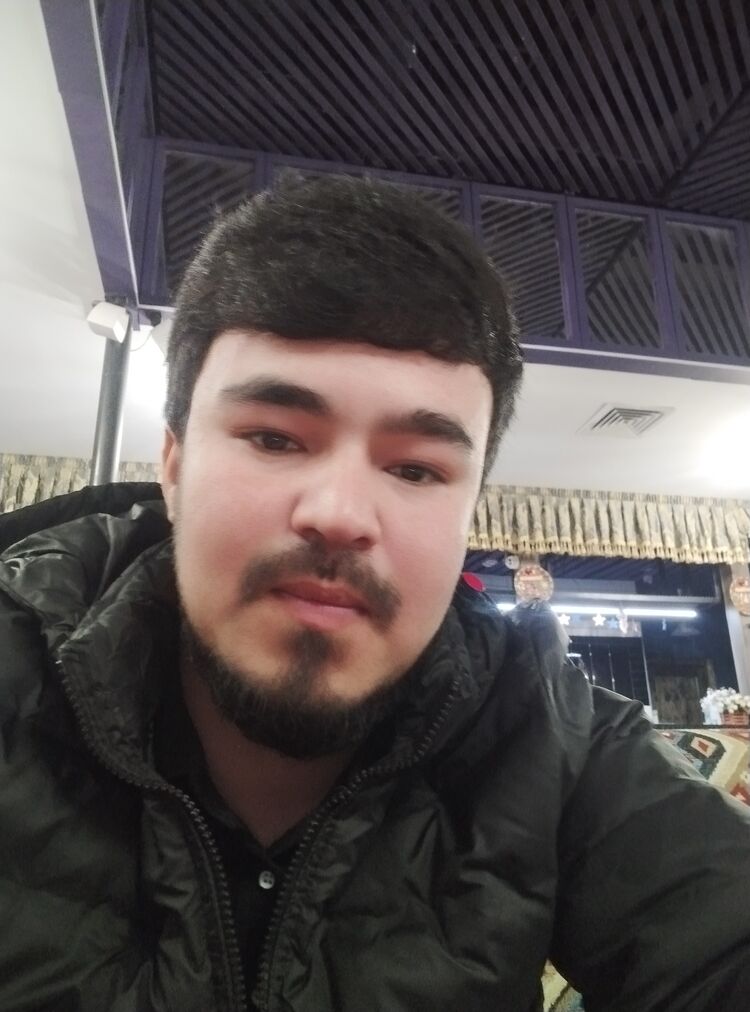  41336530  , 24 ,    